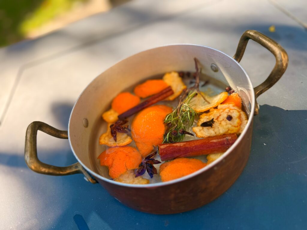 multiple sclerosis wellness